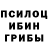 Псилоцибиновые грибы ЛСД Yan Ostin