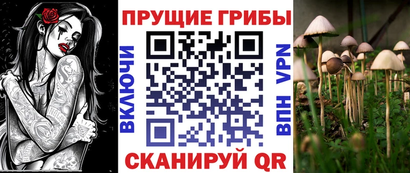 Галлюциногенные грибы Cubensis  Апрелевка 