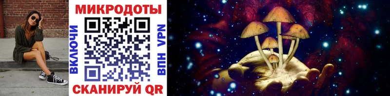 Псилоцибиновые грибы мицелий Апрелевка
